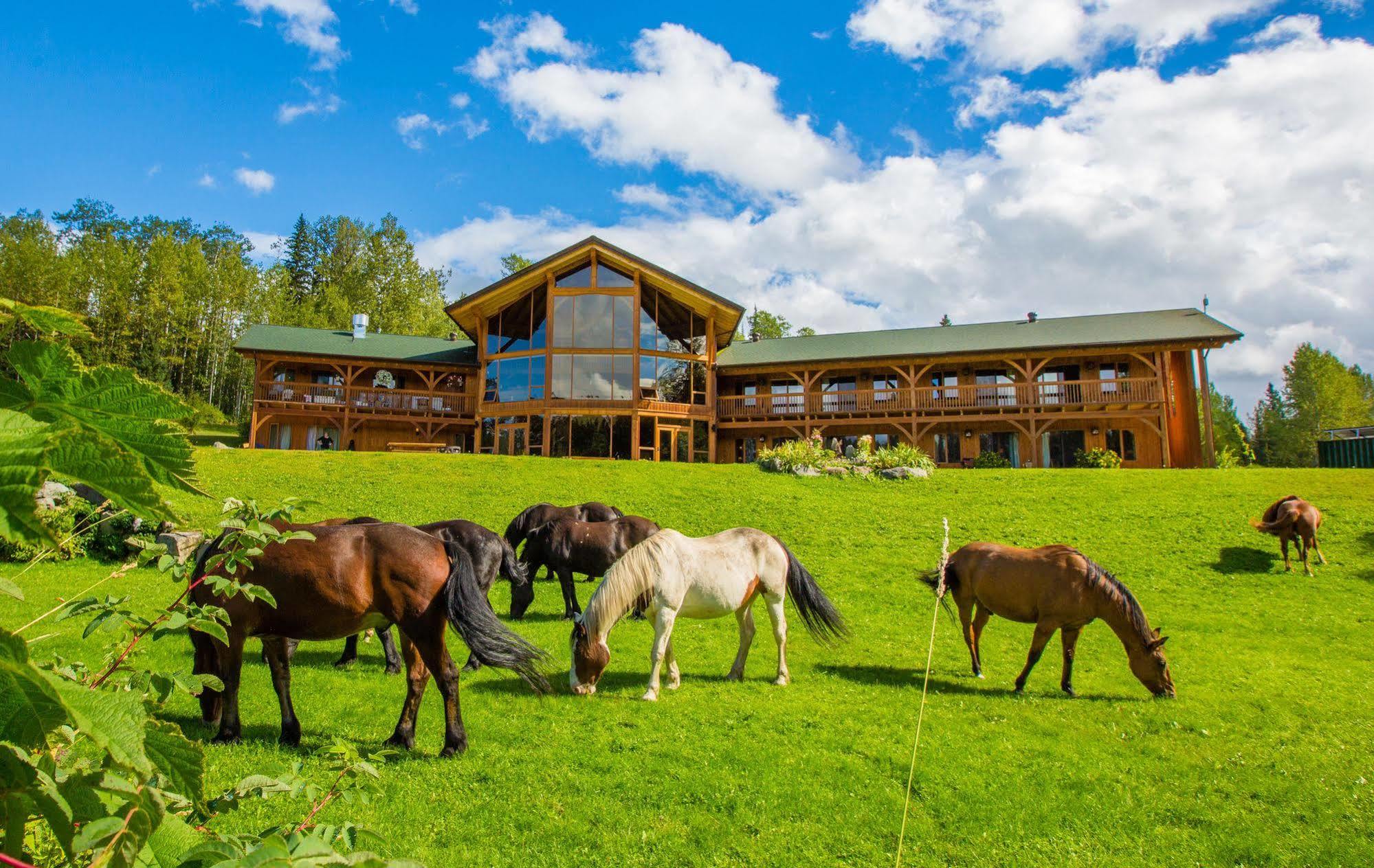 Bear Claw Lodge Kispiox Exterior photo